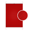 Red Window Pleated Blind