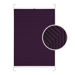 Berry Window Pleated Blind