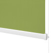 Store Enrouleur Vert Printemps 2 Classique